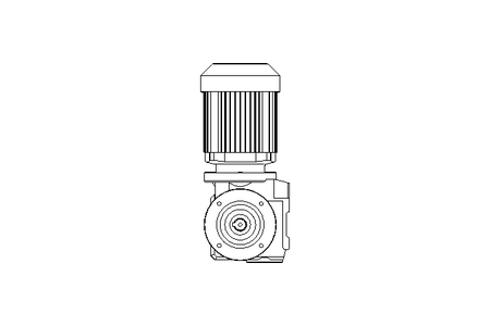 螺杆齿轮速电机 0,25kW 15 1/min