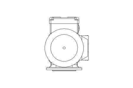 螺杆齿轮速电机 0,25kW 15 1/min