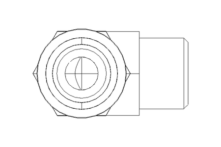 Raccord à vis coudé L 10 G1/4" Niro