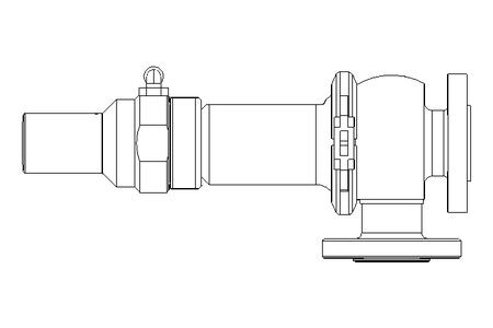 Sicherheitssventil DN25 Viton DIN 11864