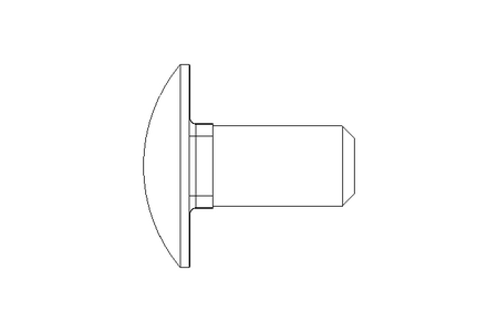 Pf cb oval r/q M12x25 A2 DIN603