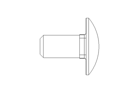 Pf cb oval r/q M12x25 A2 DIN603