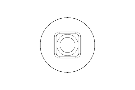 Pf cb oval r/q M12x25 A2 DIN603