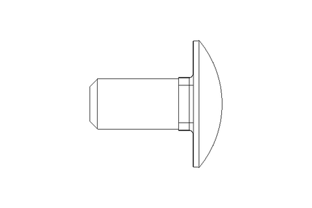 Pf cb oval r/q M12x25 A2 DIN603