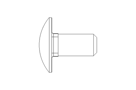 Pf cb oval r/q M12x25 A2 DIN603