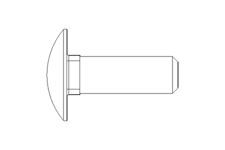 Vis à tête bombée M10x30 A2 DIN603