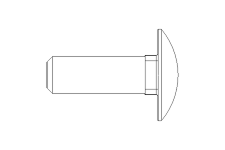 Vis à tête bombée M10x30 A2 DIN603