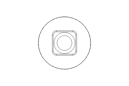 Pf cb oval r/q M10x30 A2 DIN603