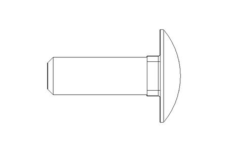 Round head screw M10x30 A2 DIN603