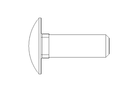 Pf cb oval r/q M10x30 A2 DIN603