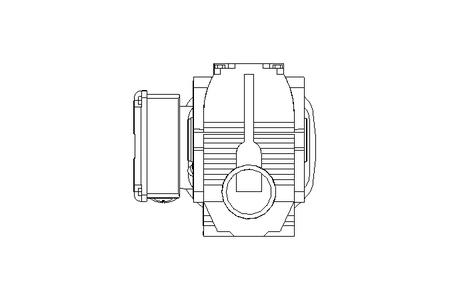 Schneckengetriebemotor 0,55kW 19 1/min