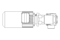 GEAR MOTOR