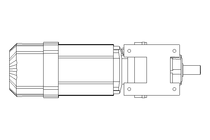 Stirnradgetriebemotor 0,55kW 48 1/min