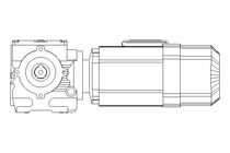 Worm gear motor 0.55kW 50 1/min