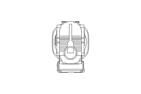 Worm gear motor 0.55kW 58 1/min