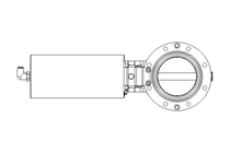 Scheibenventil B DN080 OVO NC V