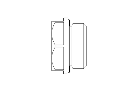 OIL SIGHT GLASS