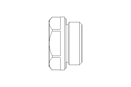 Ölschauglas G1/2 Edelstahl