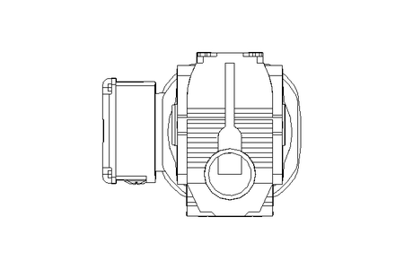 Worm gear motor 0.55kW 50 1/min