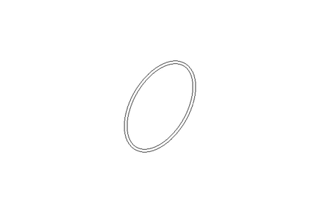 O-Ring 60x1,5 70SH