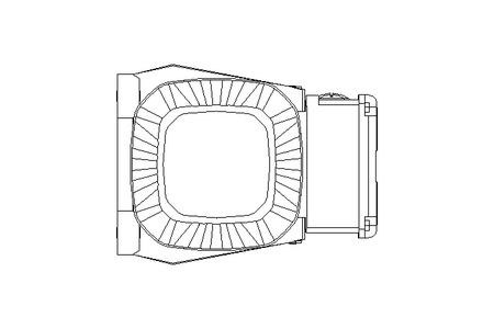 正齿轮变速电机 0,37kW 49 1/min