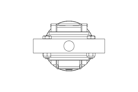 Scheibenventil B DN065 WVW NC E D5