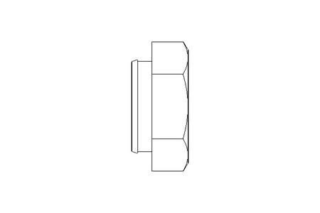 固定螺母 M6 St-Zn