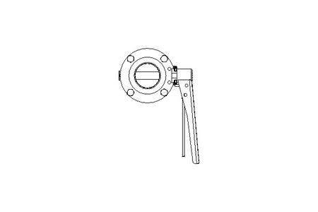 Butterfly valve B DN050 WVW MA F