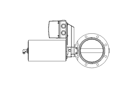 盘阀 BR DN125 OVO NC E