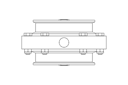 Scheibenventil B DN100 CVC NC F