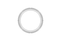 Anello di tenuta Glyd Ring RG 35x42,3