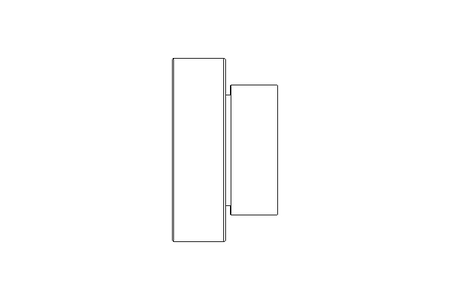 Rodamiento insertable RAE NPP 30x62x35,7