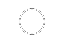 GASKET          G100 DIN 11851