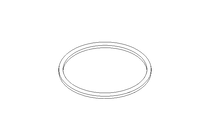 Sealing ring G DN100 EPDM DIN11851