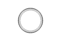 轴密封件环 A 100x120x12 FPM DIN3760