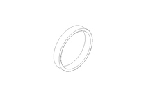 Anello di tenuta Glyd Ring RG 10x13,9x2