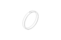 TURCON-RING     GP 6900880-T51