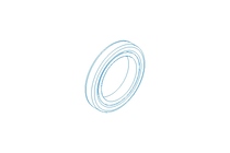 GLYD-Ring RG 12x17,8x2,85 PTFE