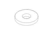 WASHER/RING/DISK