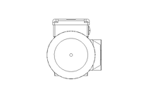 Motor engrenagem sem fim 0,25kW 199