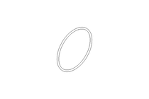 O-RING (REPT.0162203976)