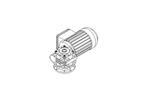 螺杆齿轮速电机 0,37kW 100 1/min