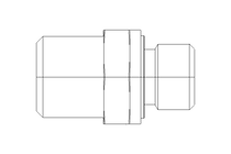 Raccordo a vite L 6 G1/8" Niro ISO8434