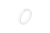 Guide ring F2 28.9x32x3.9 PTFE