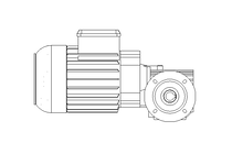 螺杆齿轮速电机 0,55kW 140 1/min