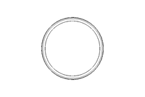 GLYD ring PG 59.5x67x3.8 PTFE