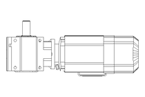 Worm gear motor 0.75kW 20 1/min