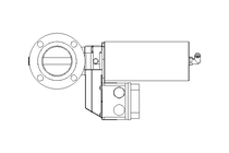 盘阀 BR DN065 FVF NC E