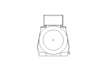 正齿轮变速电机 0,55kW 47 1/min