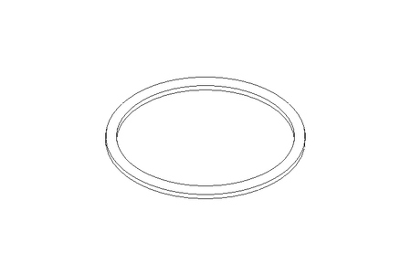 GASKET          G 80 DIN 11851